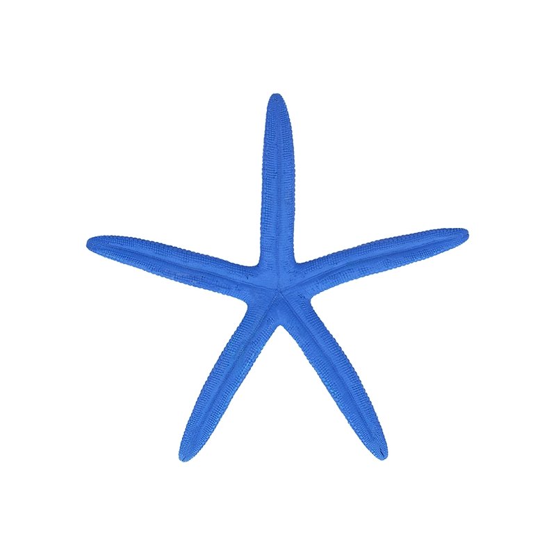 Estrela de Mar Albina, Azul.
