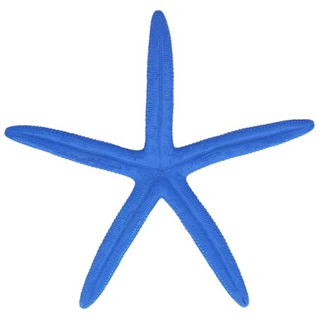 Estrela de Mar Albina, Azul.