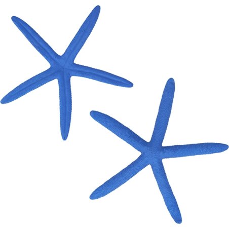 Estrela de Mar Albina, Azul.