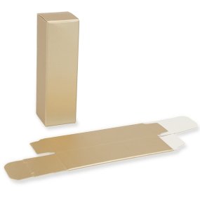 Caixa dourada stick labial