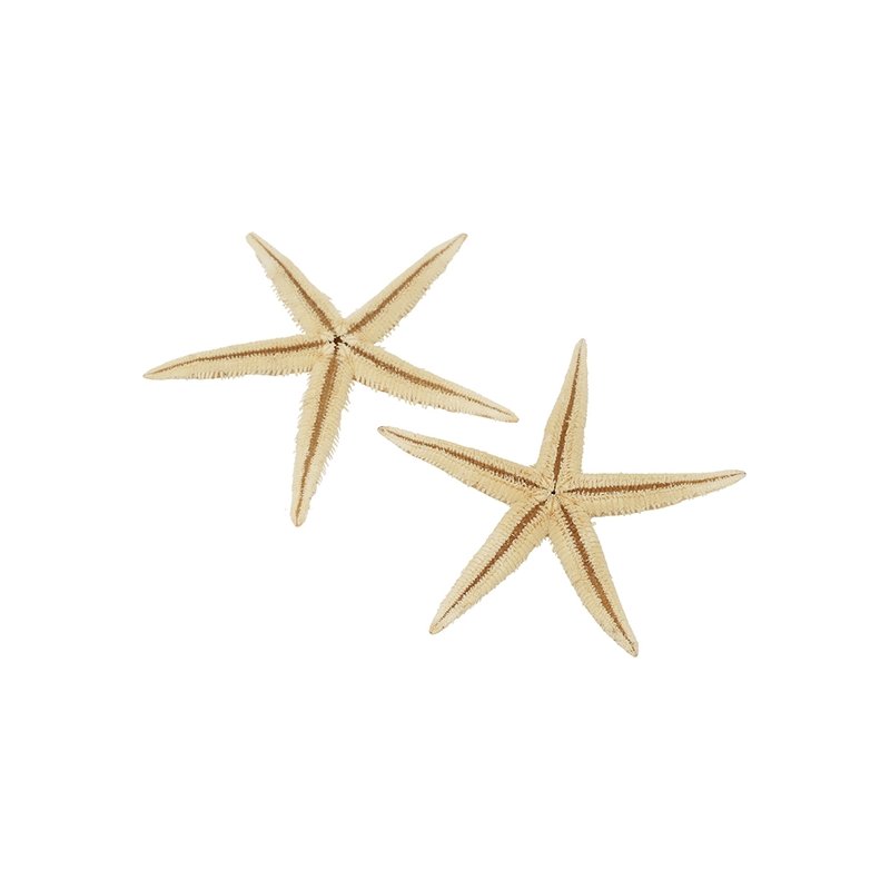 Estrela do mar filipina 2- 2,5 cm