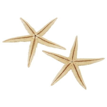 Estrela do mar filipina 2- 2,5 cm