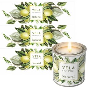 Adesivos botanicos ameixas para velas em latas