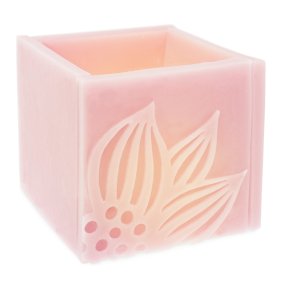 Molde placa vegetal para luminarias