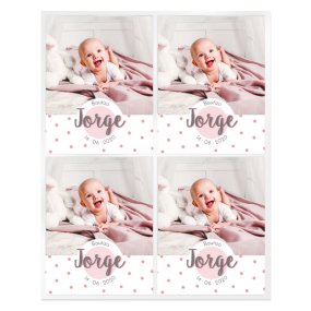 Pegatinas topos personalizadas con foto para bautizo Pegatinas topos personalizadas con foto para bautizo