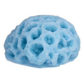 Molde de silicone coral marinho Molde de silicone coral marinho