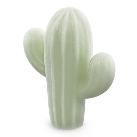 Moule silicone 4 cactus