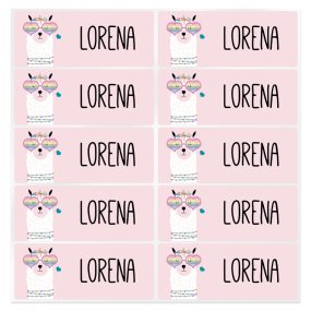 Pegatinas personalizadas llama Pegatinas personalizadas llama