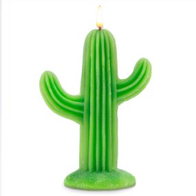 Bougie de cactus