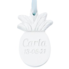 Molde personalizado abacaxi tropical