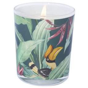 Pegatinas jungla velas en vaso