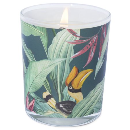 Adesivos selva velas em copo - 1