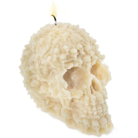 Moisissure du crâne avec des os - 1