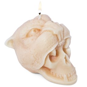 Molde caveira jaguar grande