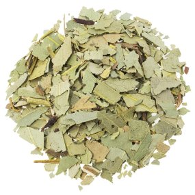 Feuilles d’eucalyptus