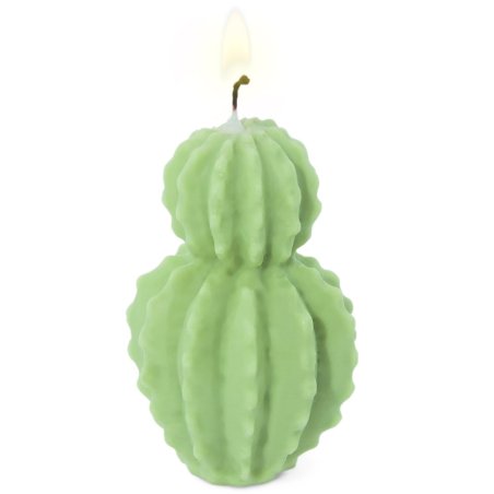 Molde cactus cereus - 1