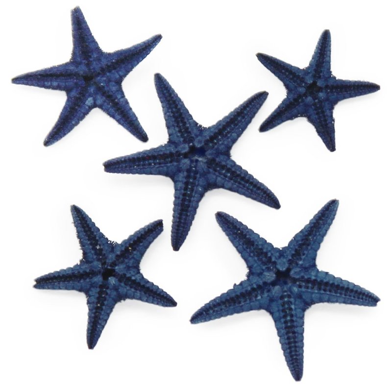 Estrella de mar filipina mini azul