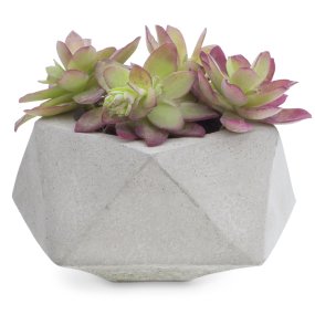 Molde summer para vasos para plantas de cimento