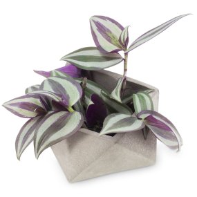 Moule Toscane pour pots en ciment