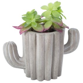 Molde cactus para macetas de cemento Molde cactus para macetas de cemento