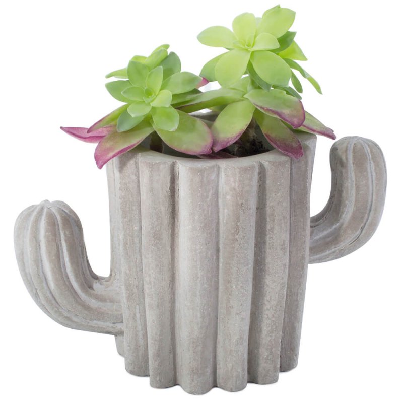 Moule cactus pour pots en ciment - 1