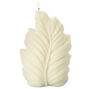 Molde feuille Molde feuille