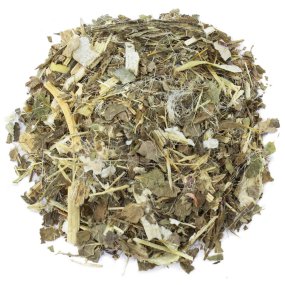 Plante coupée de chardon-Marie