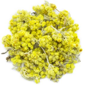 Fleurs d’hélichryse