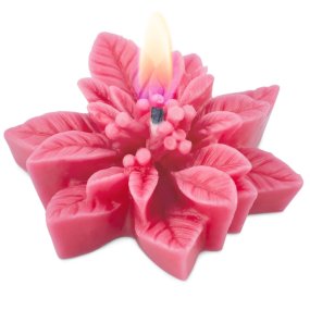 Molde flor de Pascua Poinsettia Molde flor de Pascua Poinsettia