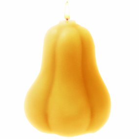 Molde de calabaza silvestre alargada Molde de calabaza silvestre alargada