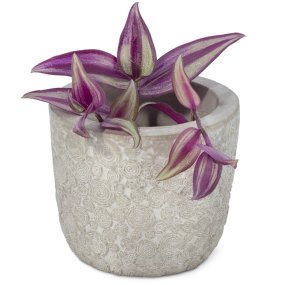 Moule jungle pour pots en ciment