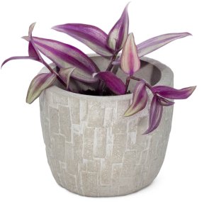 Molde deluxe para vasos para plantas de cimento