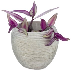 Molde Hawai para vasos para plantas de cimento