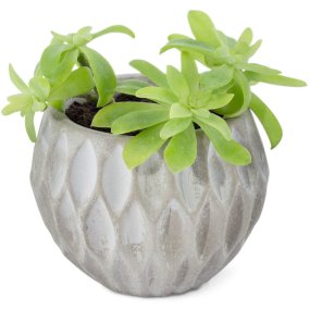 Moule tropic pour pots en ciment