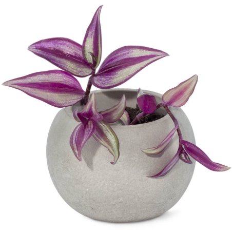 Molde sphere para vasos para plantas de cimento - 1