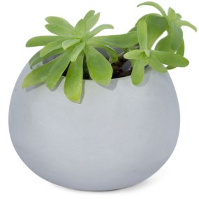 Molde elegance para vasos para plantas de cimento