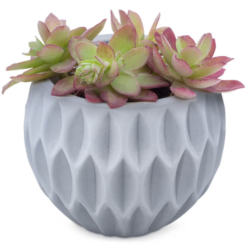Molde botanic para vasos para plantas de cimento