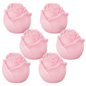 Molde 6 mini rosas fechadas