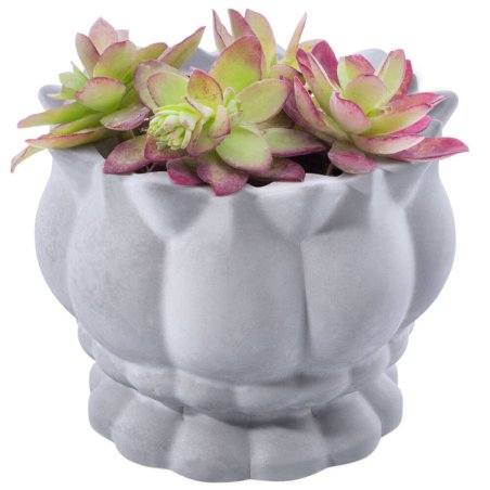 Molde nature para vasos para plantas de cimento