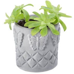 Moule papillons pour pots en ciment