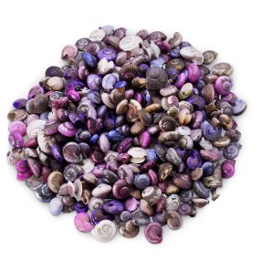 Coquillages marins umbonium colorés 1 kg Coquillages marins umbonium colorés 1 kg