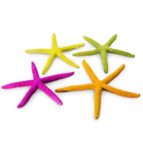 Estrela de mar albina cores 8-10 cm