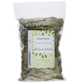 Eucalipto planta tintorea Eucalipto planta tintorea