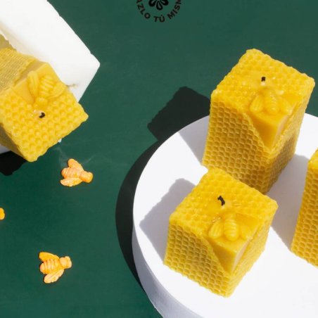 Kit pour faire des bougies en cire. Matériaux et instructions