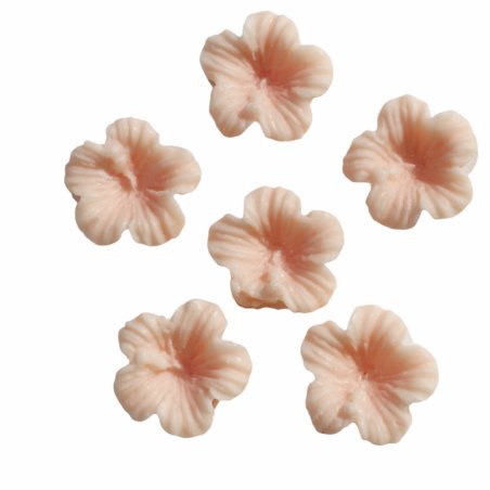 Moule 6 hibiscus