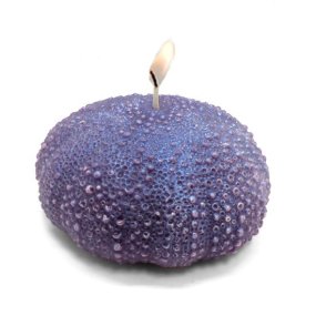 Esponja de Mar Grande, molde para fazer velas Esponja de Mar Grande, molde para fazer velas