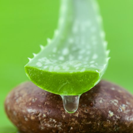 aroma aloe vera