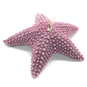 Molde velas Estrella de Mar esponjosa grande Molde velas Estrella de Mar esponjosa grande