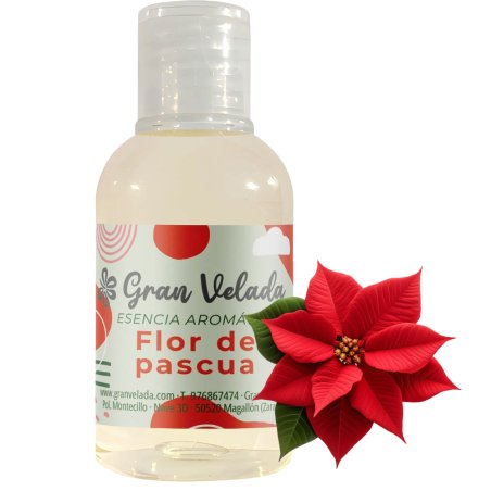 L'essence aromatique fleur de noel
