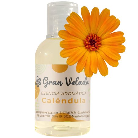Essence aromatique de calendula